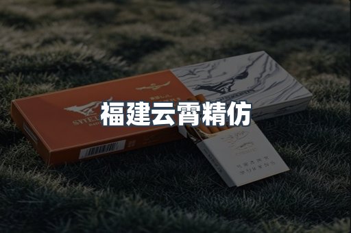 福建云霄精仿